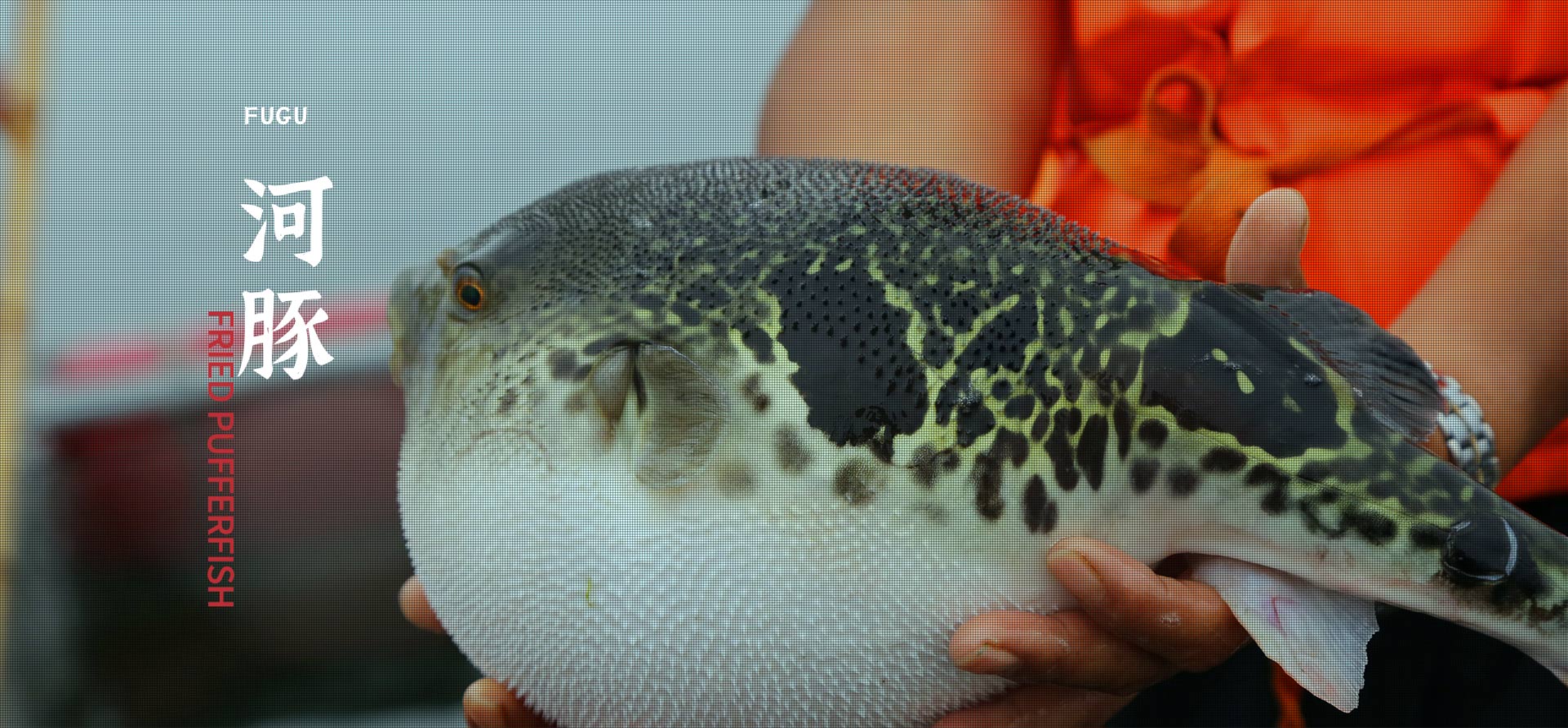 今年会·(中国大陆)认证慈善机构