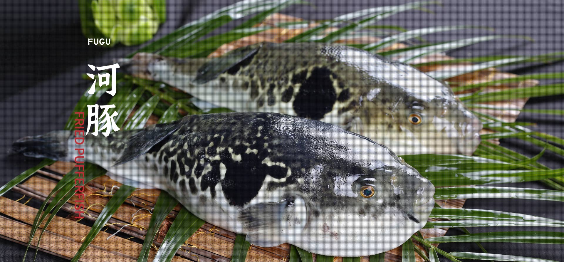 今年会·(中国大陆)认证慈善机构